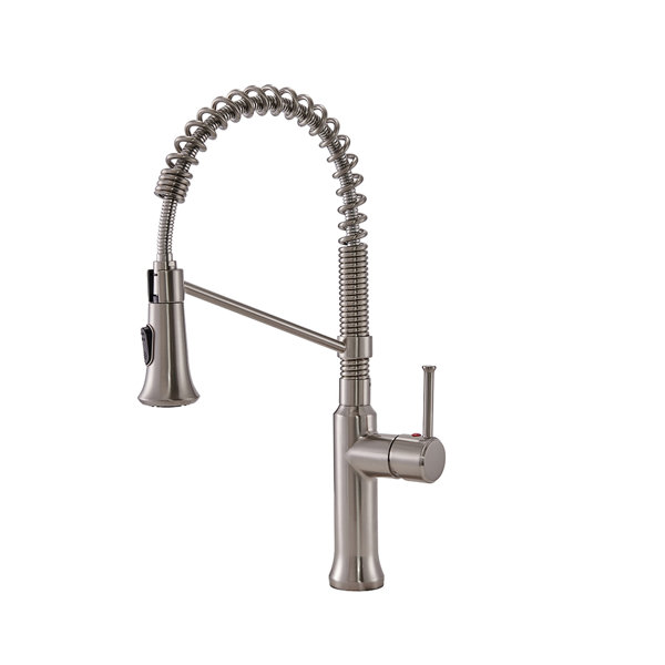 VAPSINT Pull Down Single Handle Kitchen Faucet Wayfair Canada